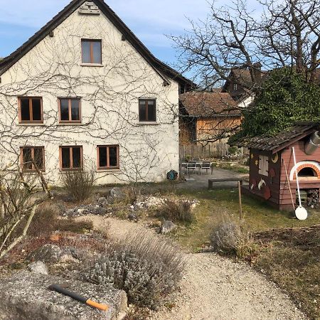 Ferienhaus Mit Naturgarten Dachsen Dış mekan fotoğraf