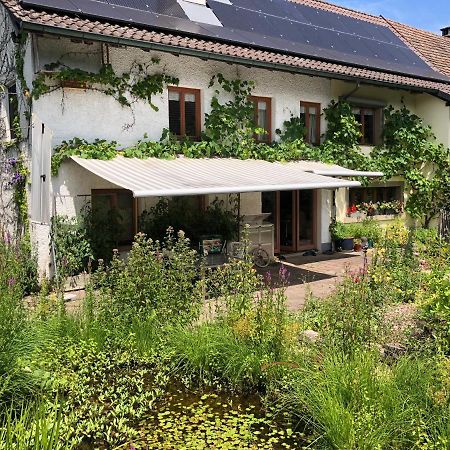 Ferienhaus Mit Naturgarten Dachsen Dış mekan fotoğraf