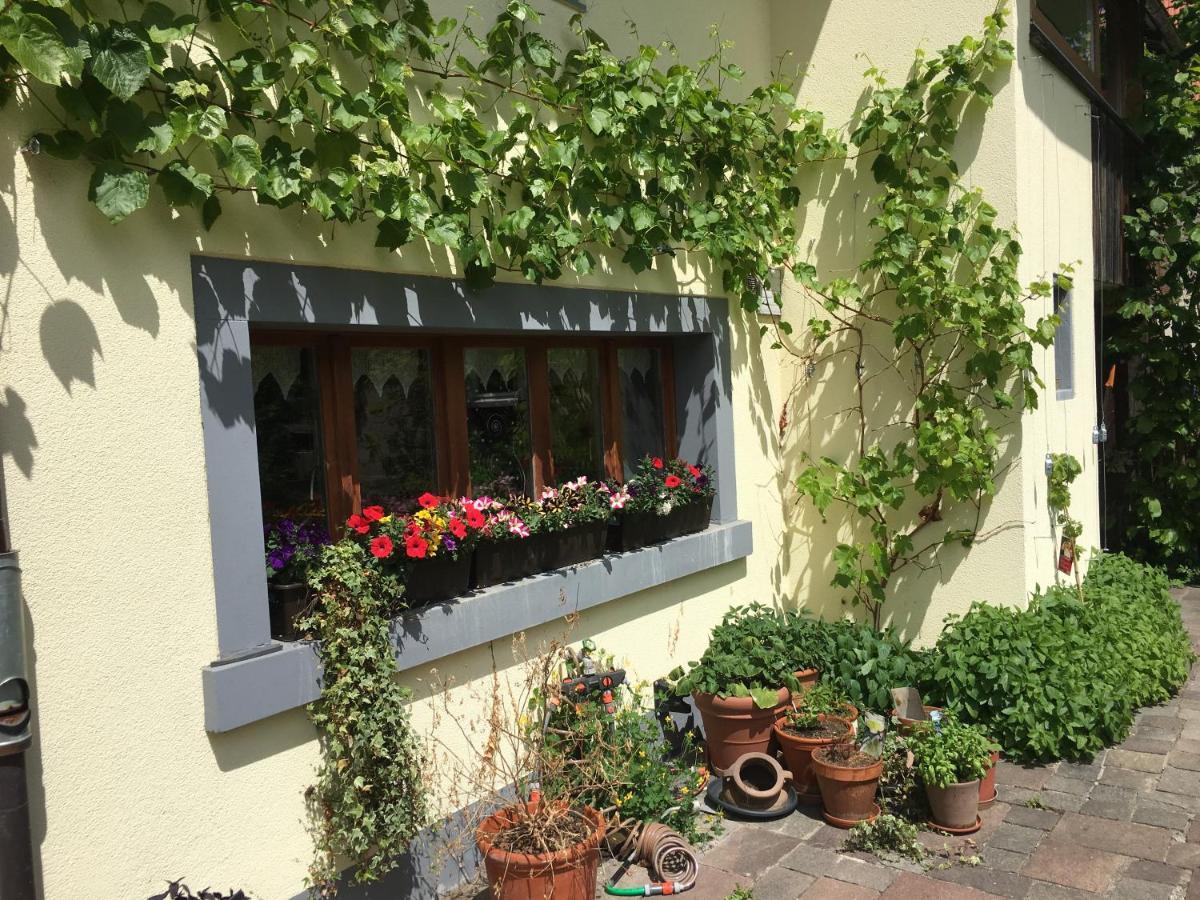 Ferienhaus Mit Naturgarten Dachsen Dış mekan fotoğraf