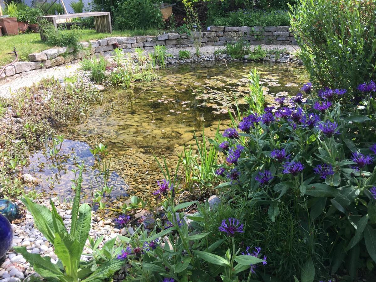 Ferienhaus Mit Naturgarten Dachsen Dış mekan fotoğraf