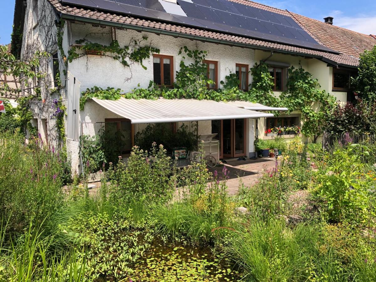 Ferienhaus Mit Naturgarten Dachsen Dış mekan fotoğraf